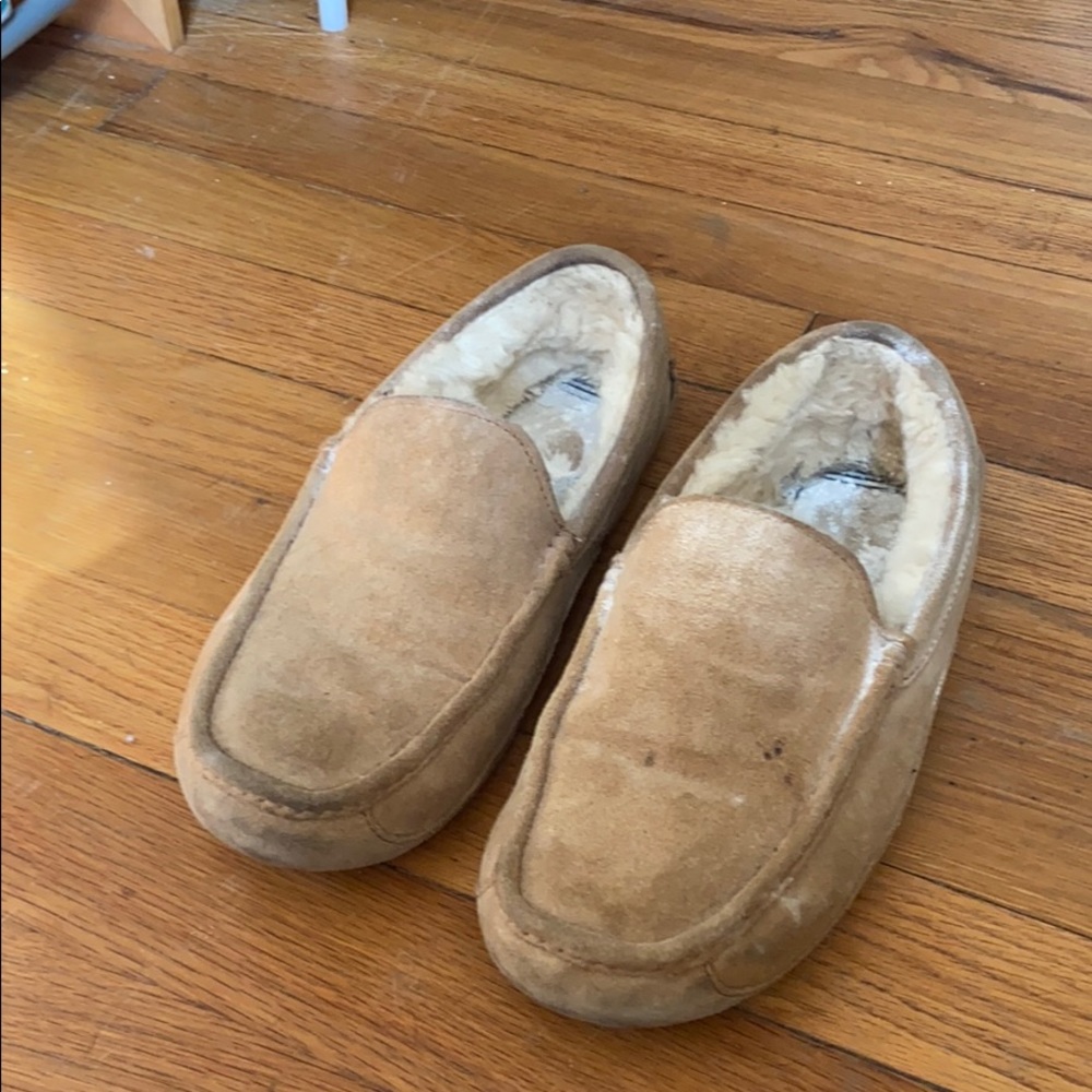 MENS ugg moccasins